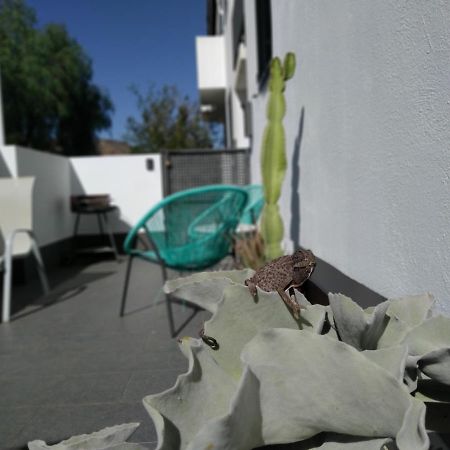 Piedranegra, Apartamento Completo Con Patio, Terraza Y Bbq ロダルキラル エクステリア 写真
